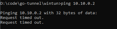 ping 10.10.0.2